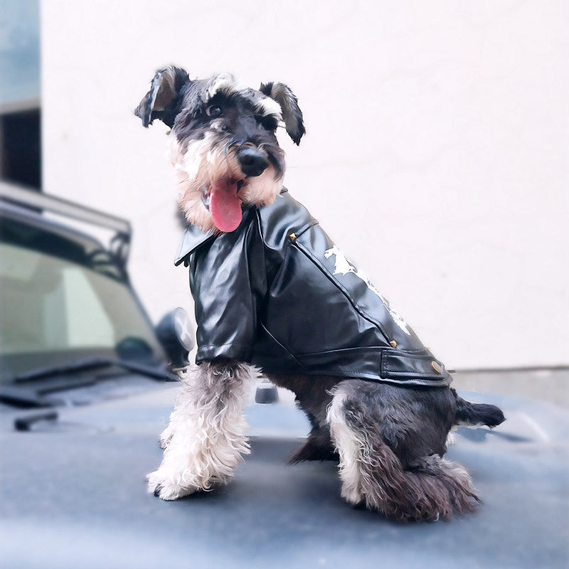 Leather Dog Jacket-FurrGo