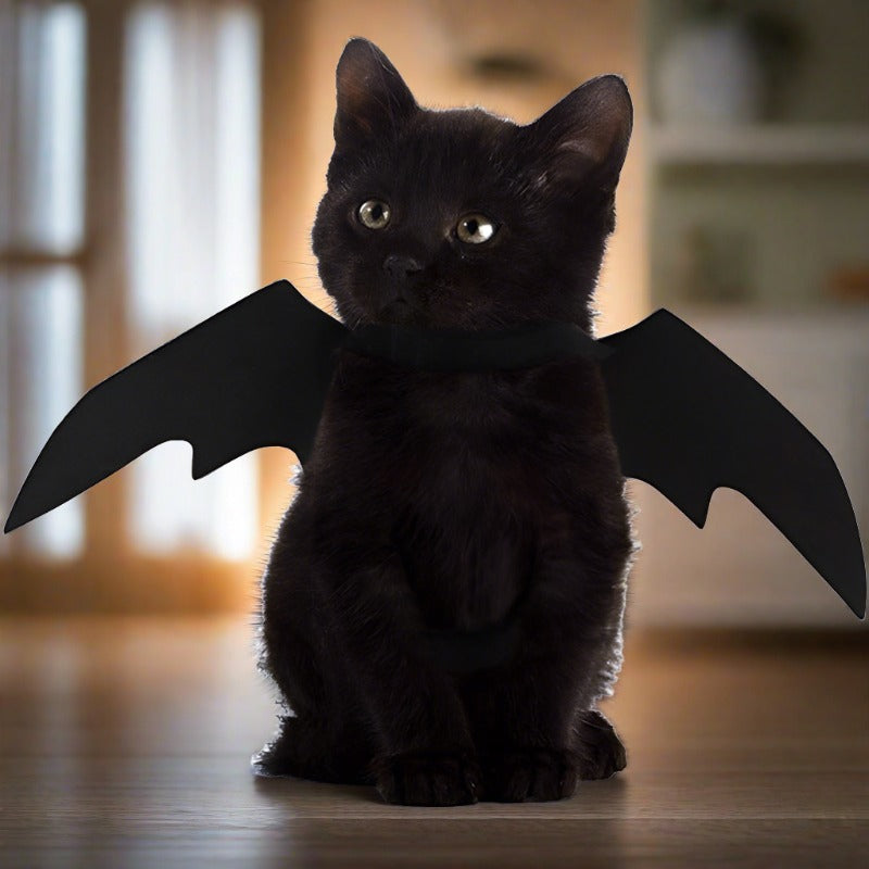 Halloween Kitty Bat Wings-FurrGo