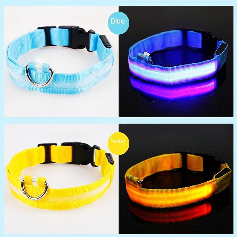 LED Glowing Dog Collar-FurrGo