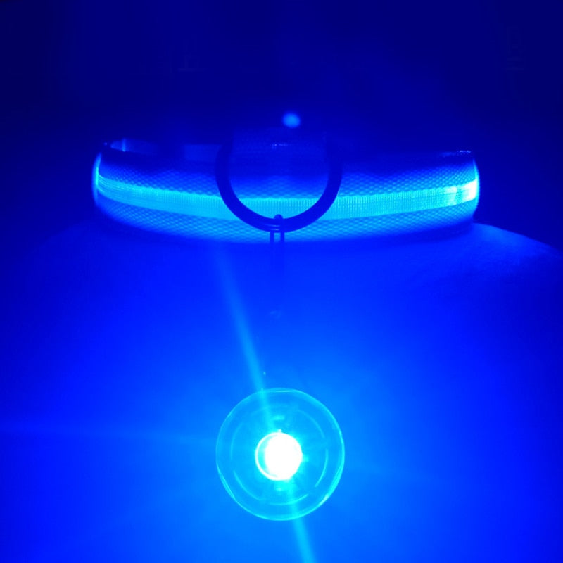 LED Glowing Dog Collar-FurrGo
