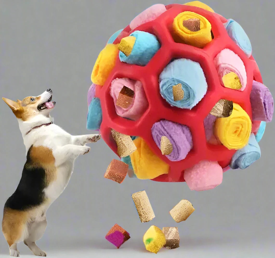 Doggy Snuffle Ball