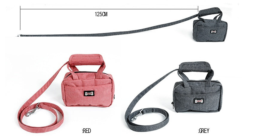 On-The-Go Pet Bag with Attachable Leash