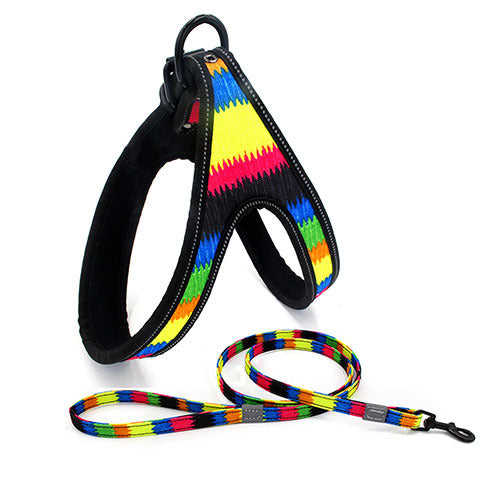 ColorSplash Dog Harness & Leash Combo