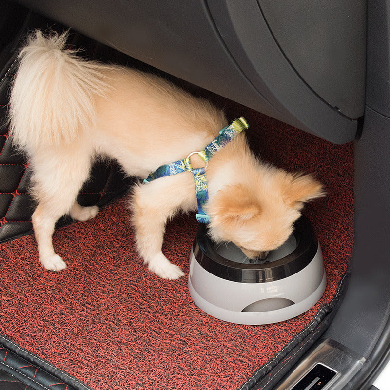Non-Skid Travel Dog Bowl