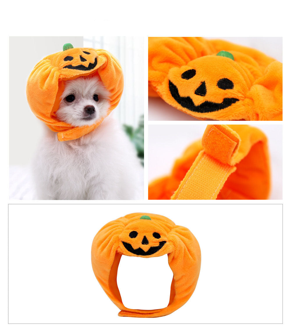 Pet Pumpkin Hat