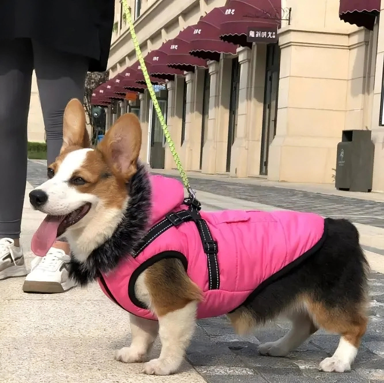 Fur Collar Winter Dog Vest