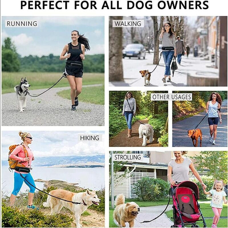 Deluxe Hands-Free Dog Leash Waist Attachment