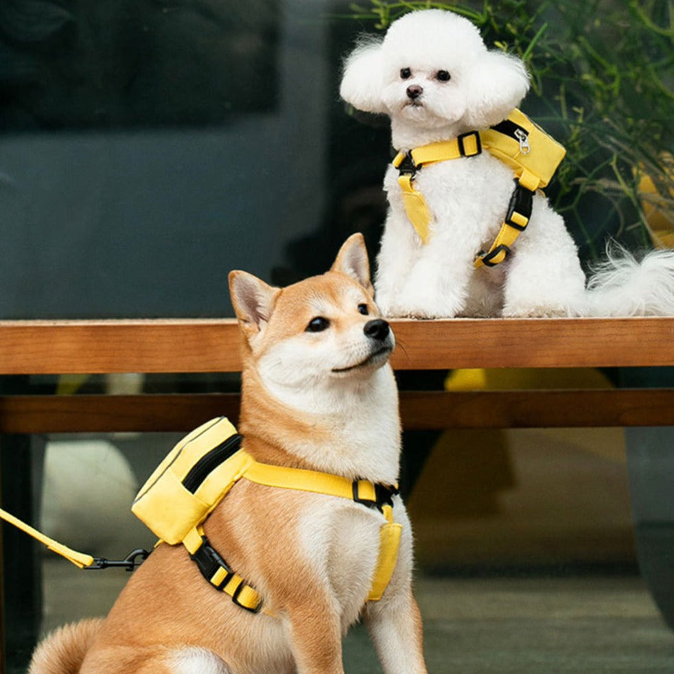 Snack Pouch Dog Harness