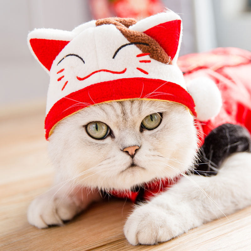 Kitty Cat Hat