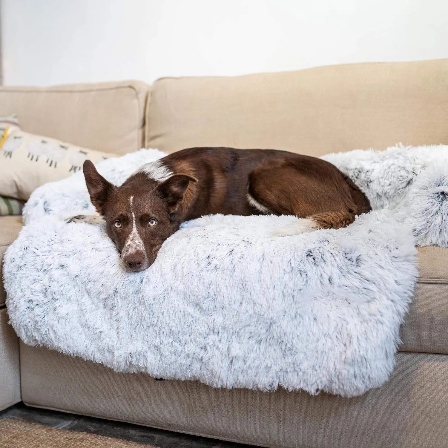 Dog Sofa Bed