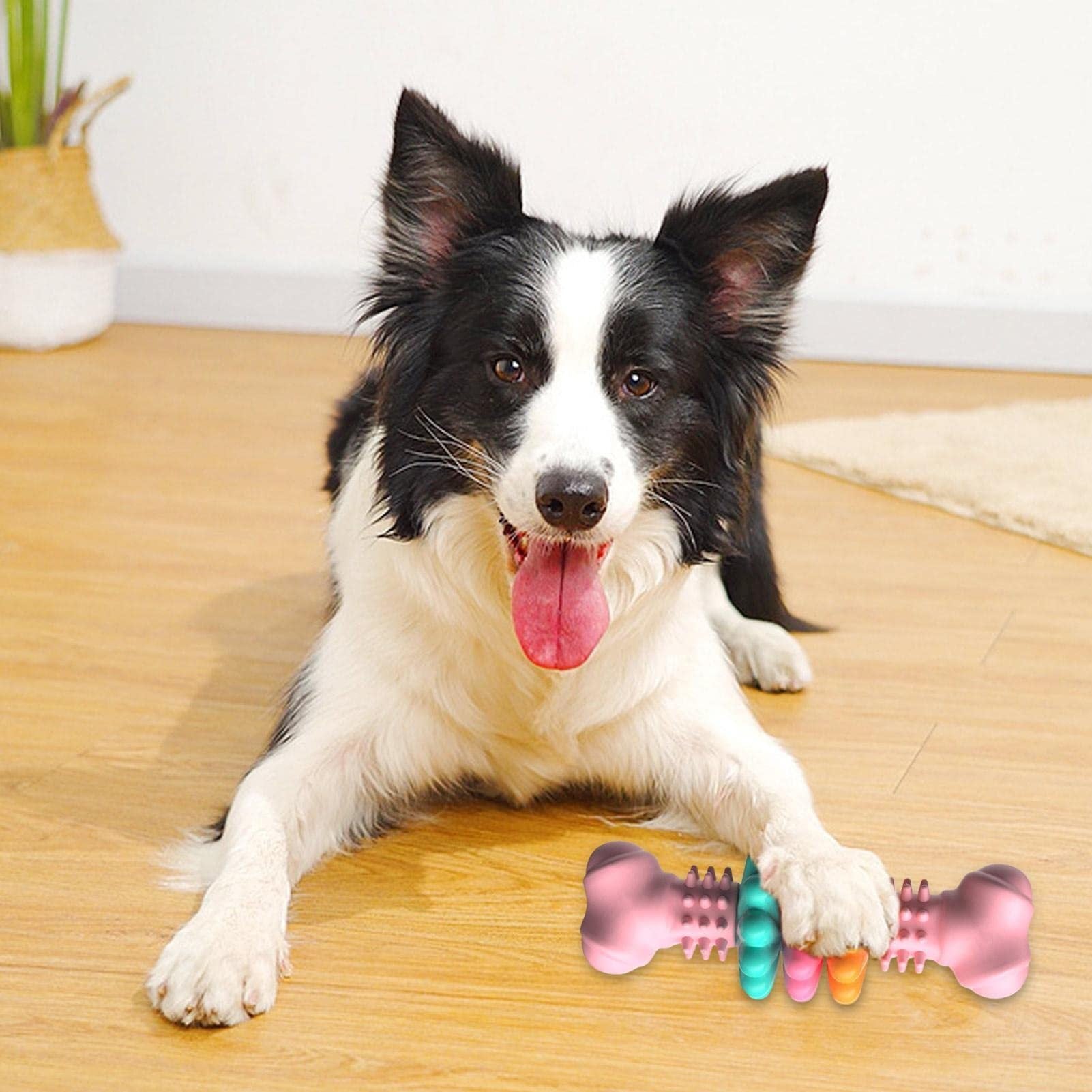 Tough & Tidy Chew Bone