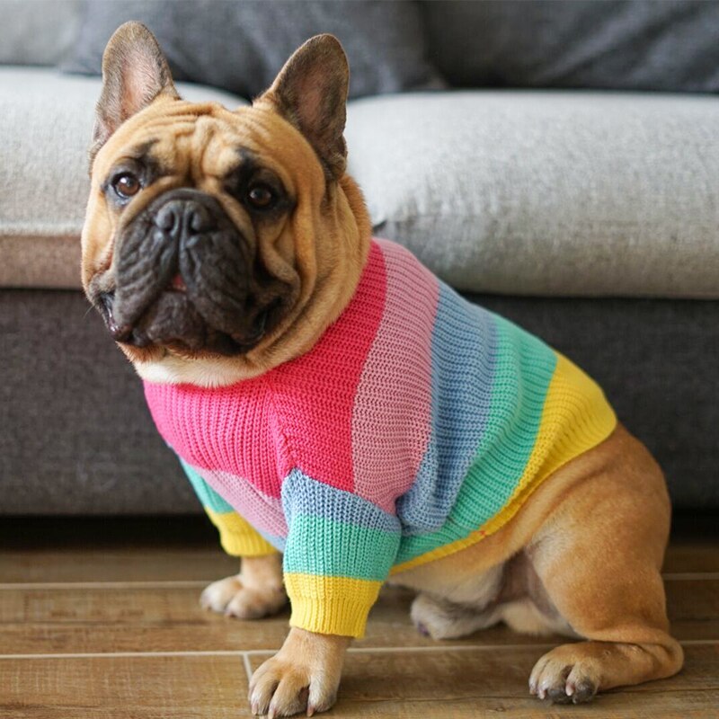 Leashes, Collars & Petwear - Rainbow Dog Sweater