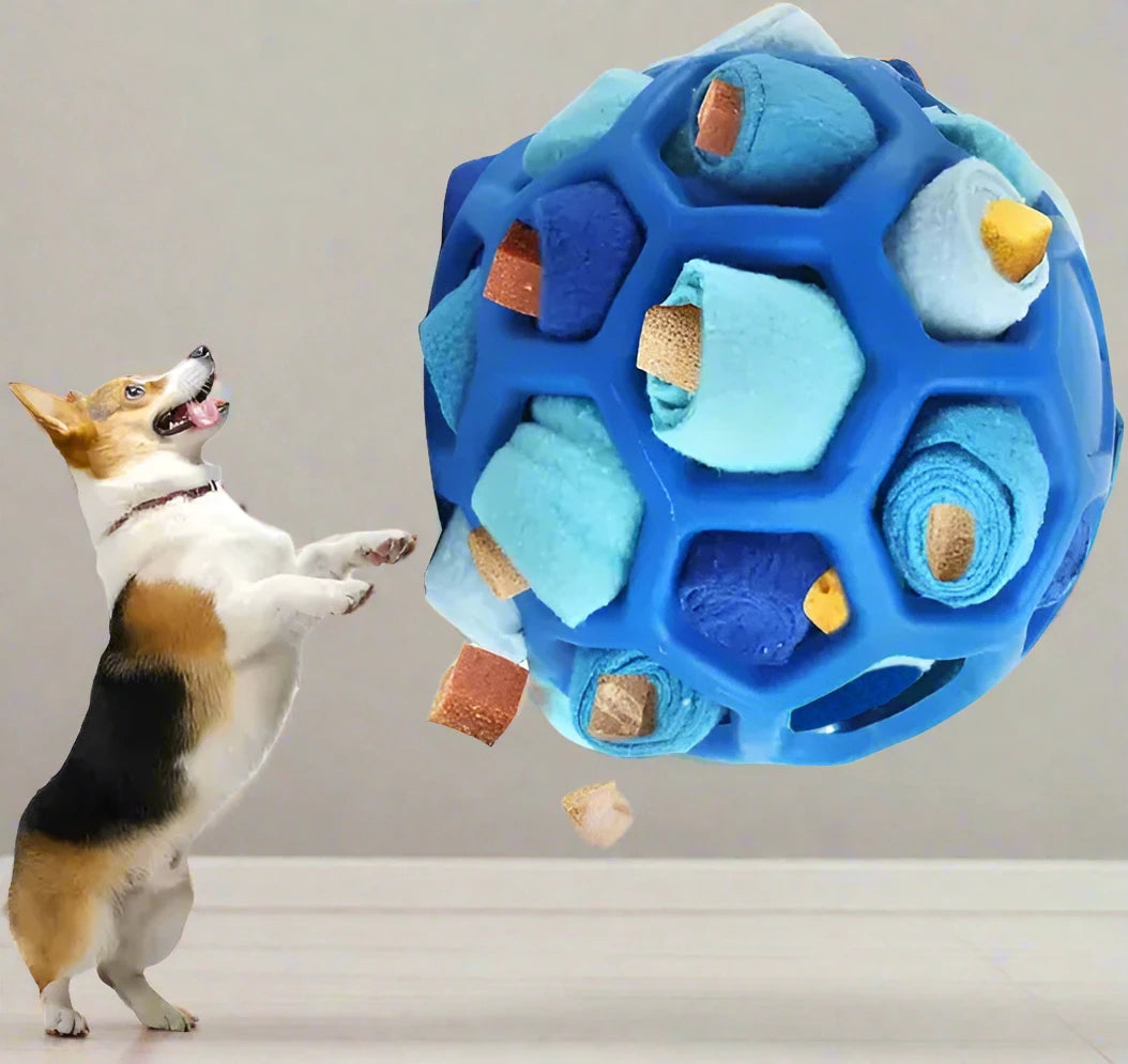 Doggy Snuffle Ball