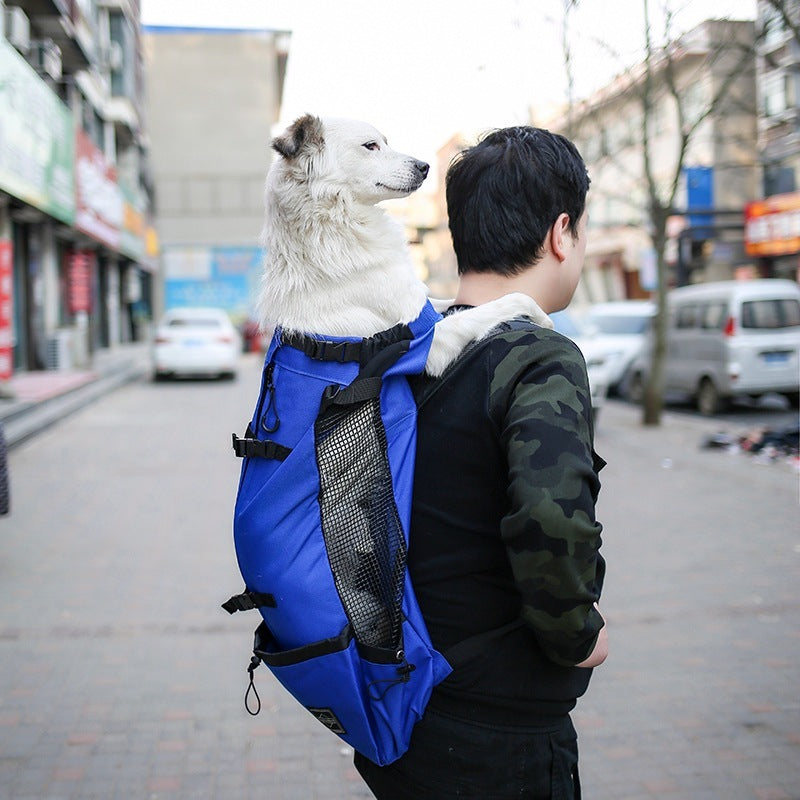 Deluxe Dog Carrier Backpack