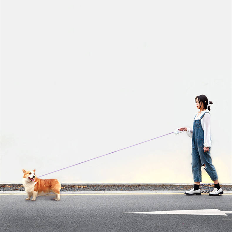 Glowing Retractable Dog Leash And Flashlight