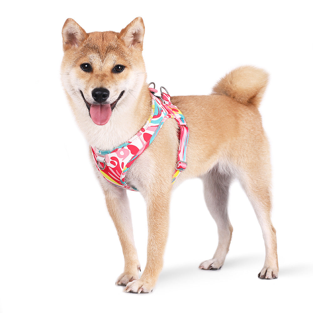 Summer Vibes Dog Harness & Leash Bundle