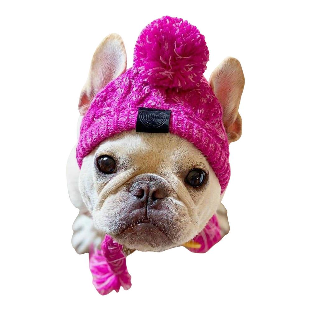 Dog Beanie Hat-FurrGo