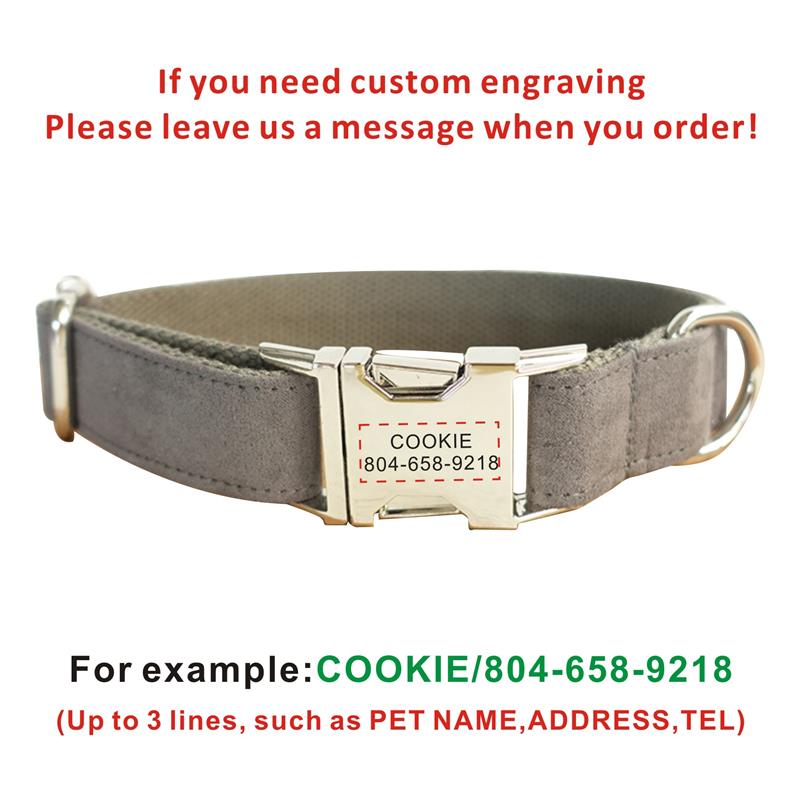 Custom Engraved Stainless Steel Dog Collar
