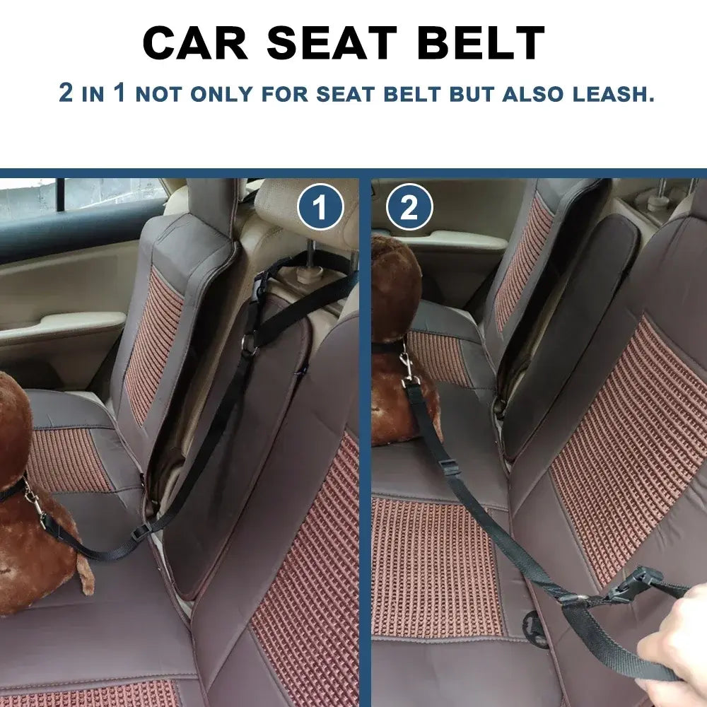 Dog Seat Belt & Harness