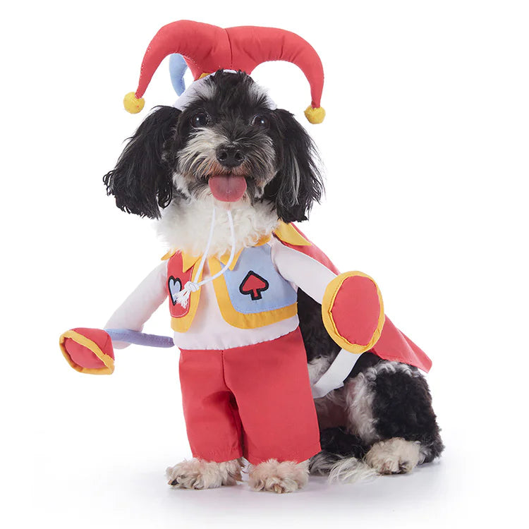 Halloween Dog Costumes (Variety)