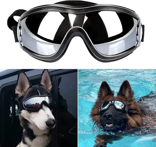 Doggles Protective Glasses