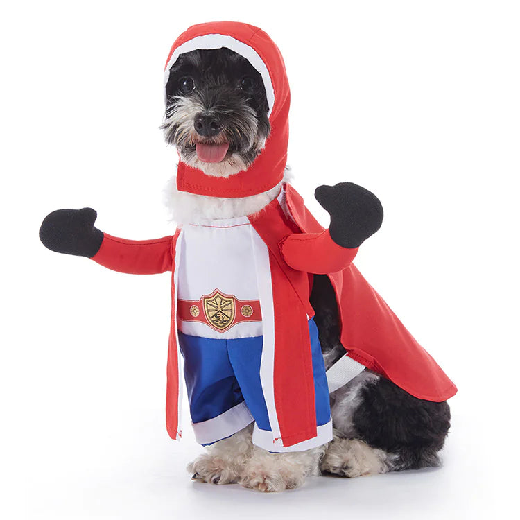 Halloween Dog Costumes (Variety)