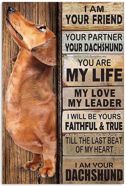 Decorative Metal Dog Posters: Dachshund Series