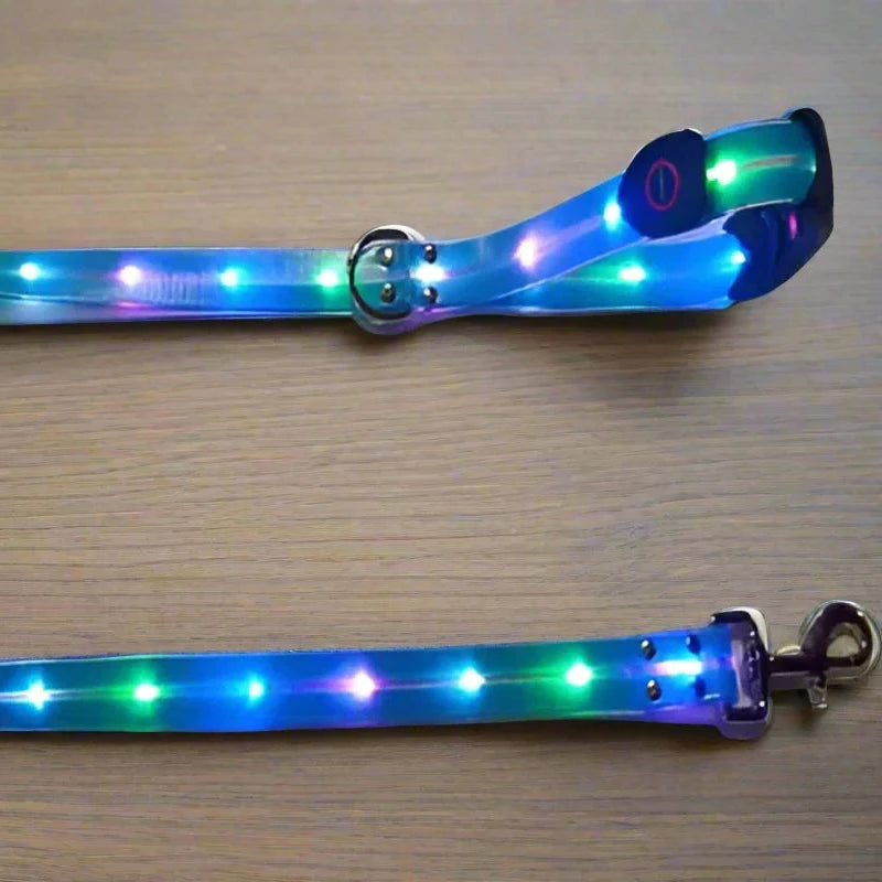 LED Glowing Dog Leash