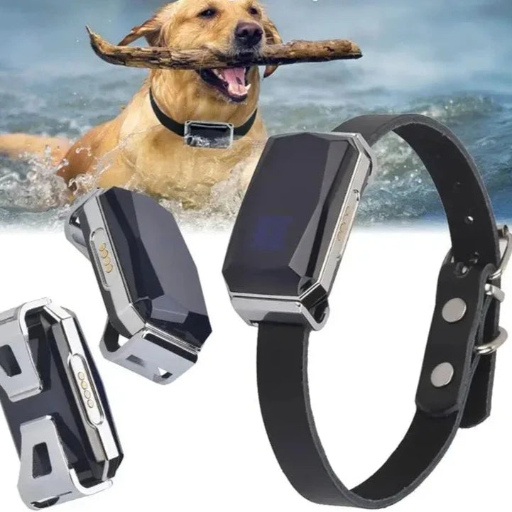 Smart Pet Tracker Collar with SIM Card Slot