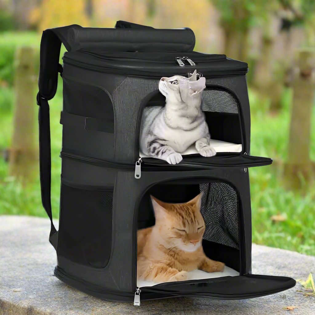 Double Layer Cat Backpack