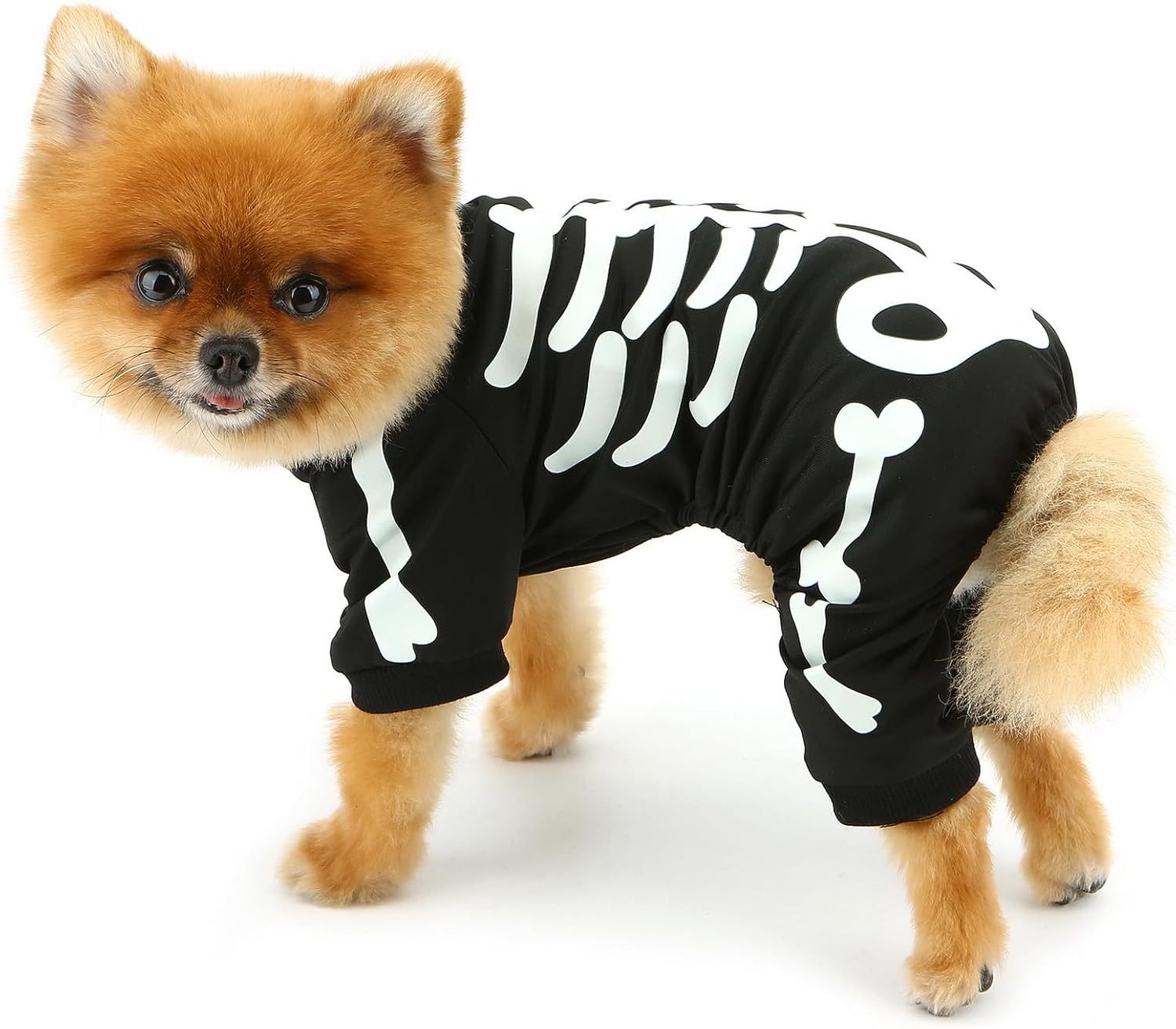 Dog Skeleton Glow-In-The-Dark Halloween Jumpsuit