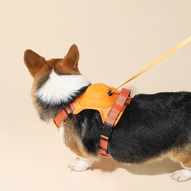 Retractable Dog Leash With No-Pull Harness