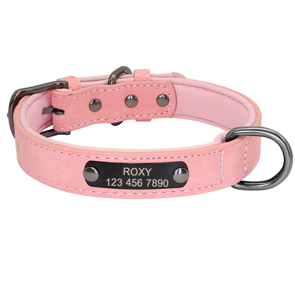Personalized Engraved Pet Collar