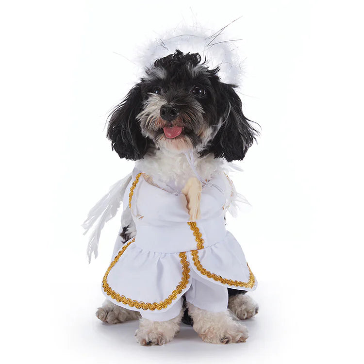 Halloween Dog Costumes (Variety)