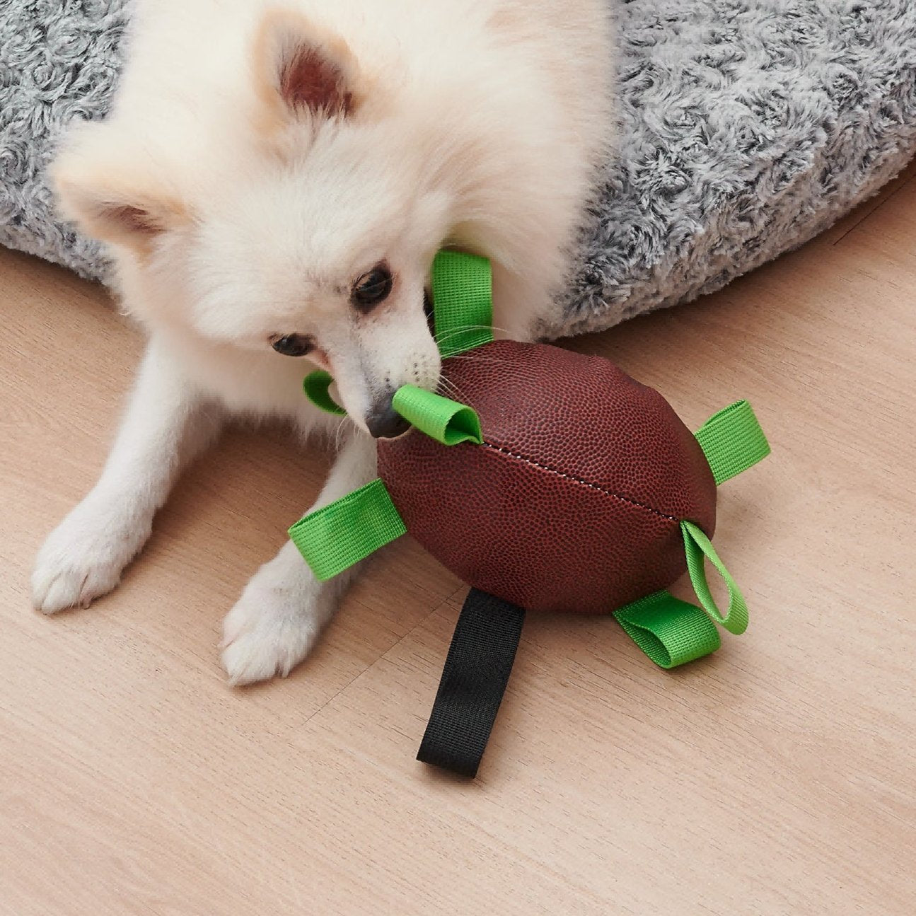 Doggy Football Toy