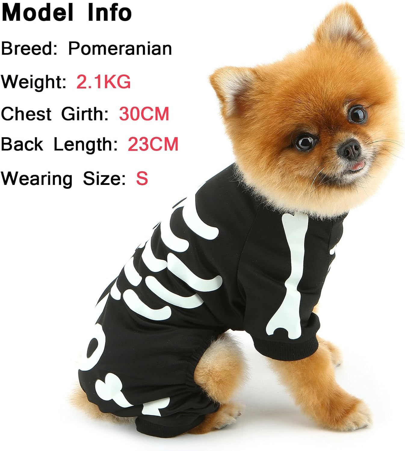 Dog Skeleton Glow-In-The-Dark Halloween Jumpsuit