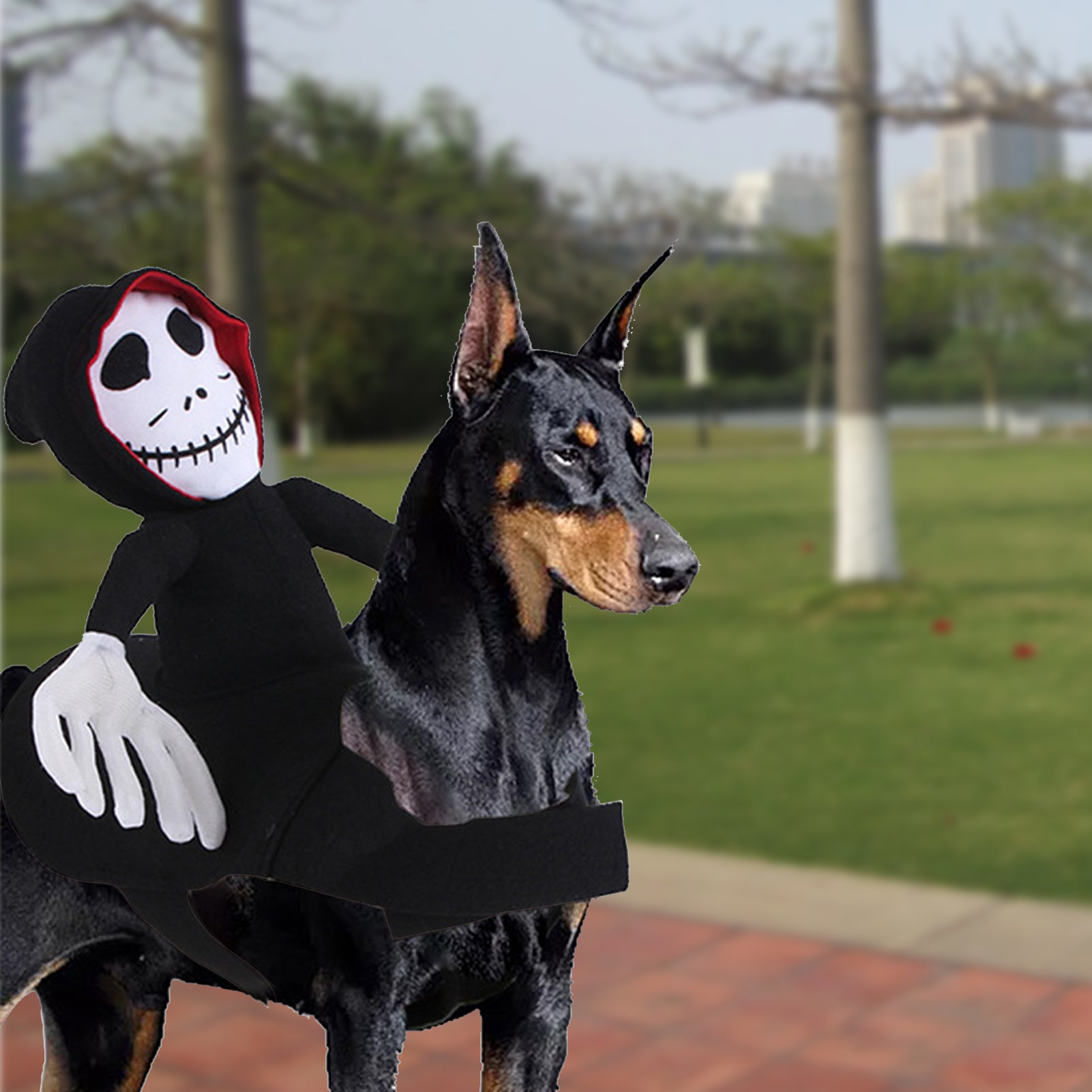 Skeleton Halloween Dog Costume