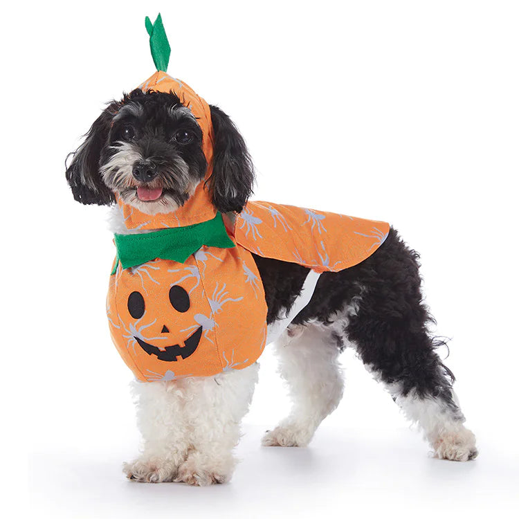 Halloween Dog Costumes (Variety)