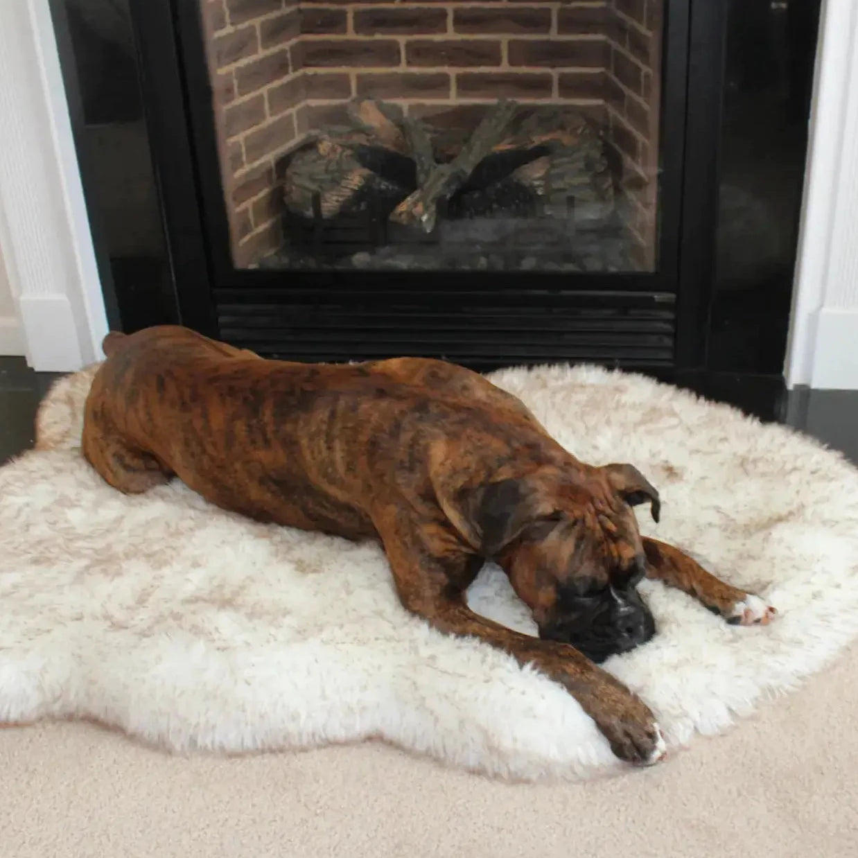 Faux Fur Dog Bed