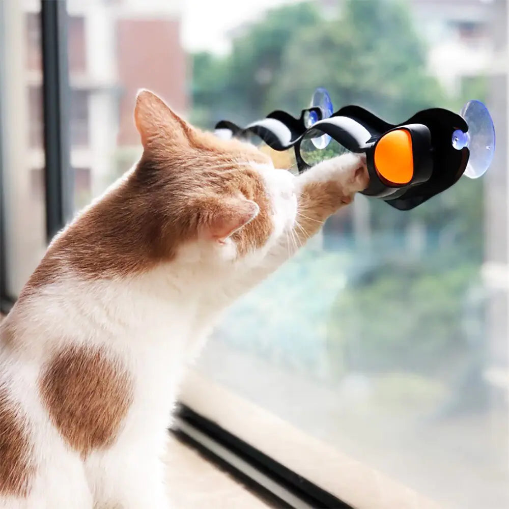 Cat Window Track Ball Toy