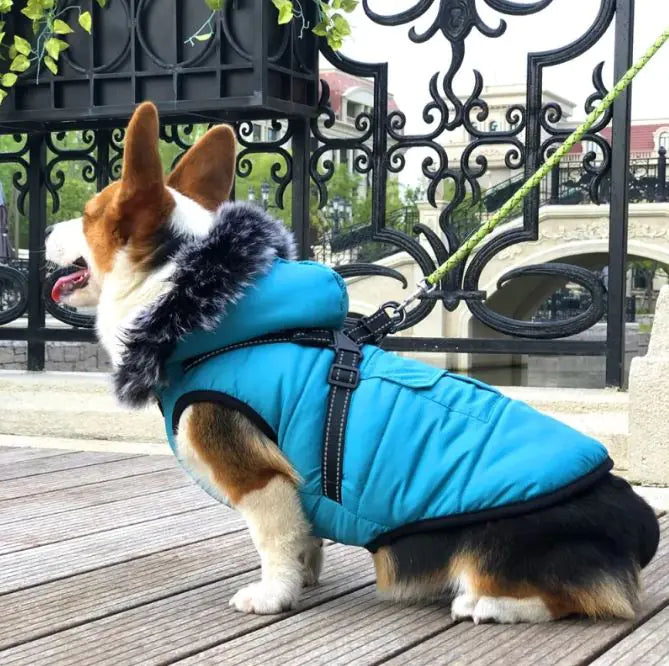 Fur Collar Winter Dog Vest