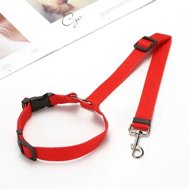 Dog Seat Belt & Harness