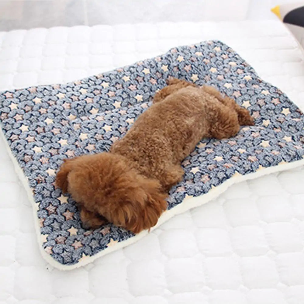 Pet Blanket Lounger