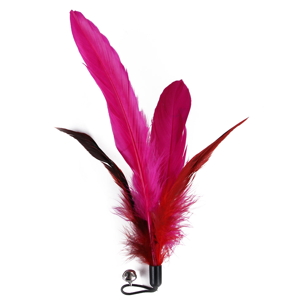 11-Pack Cat Feather Toy Set