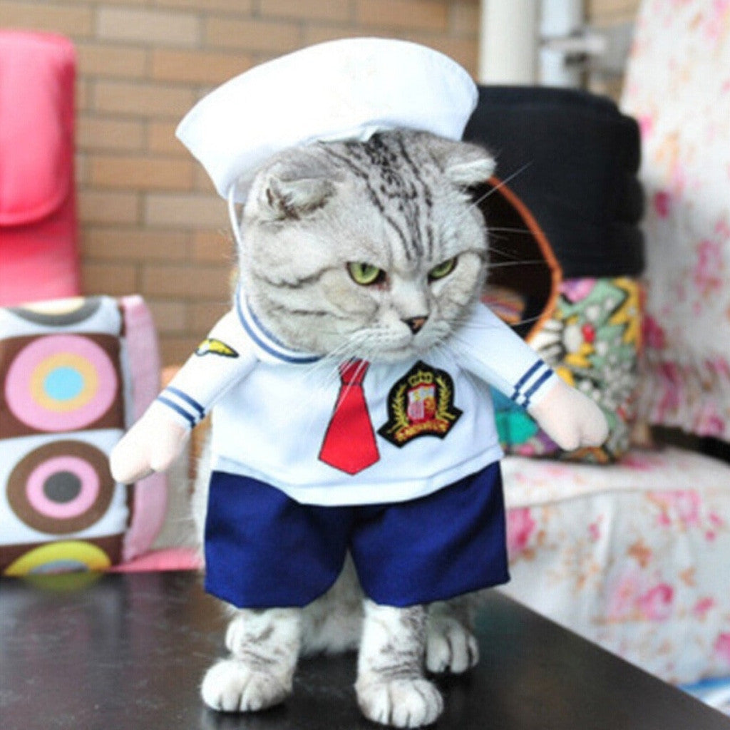 Kitty Cat Costumes
