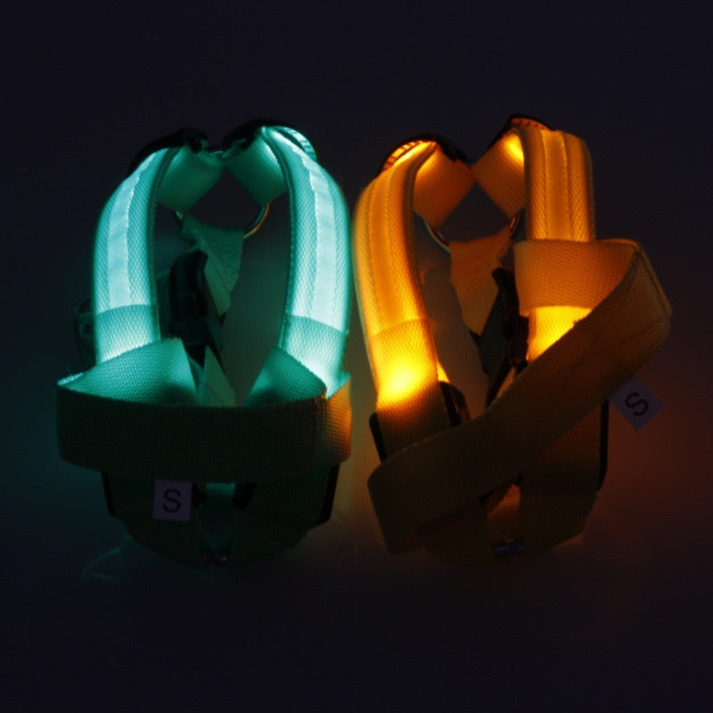 LED Glowing Dog Harness-FurrGo