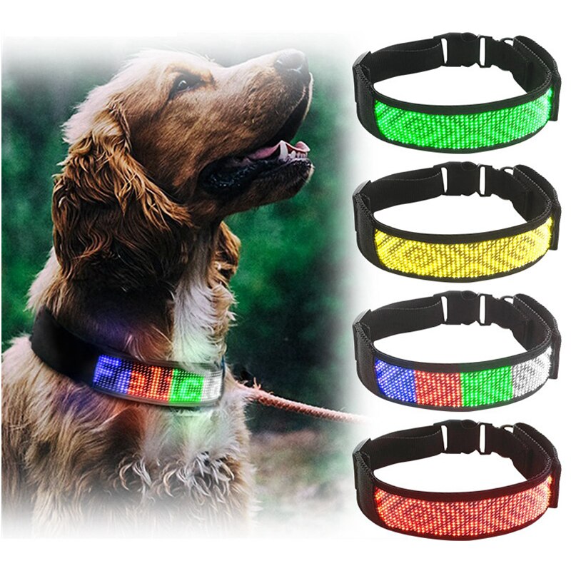 Custom Display Pet Collar