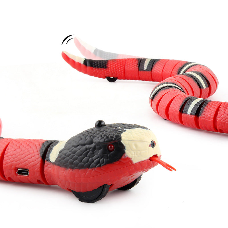 Interactive Cat Snake Toy-FurrGo