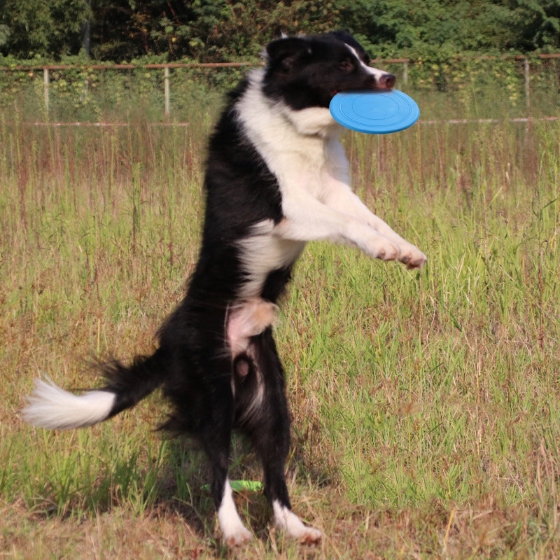 Soft Dog Frisbee