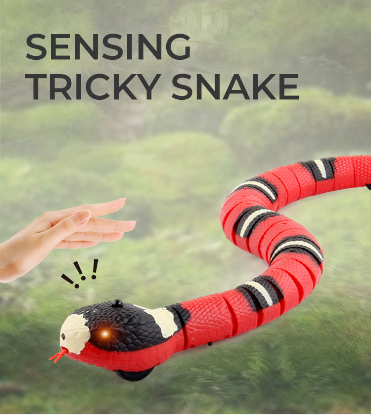 Interactive Cat Snake Toy